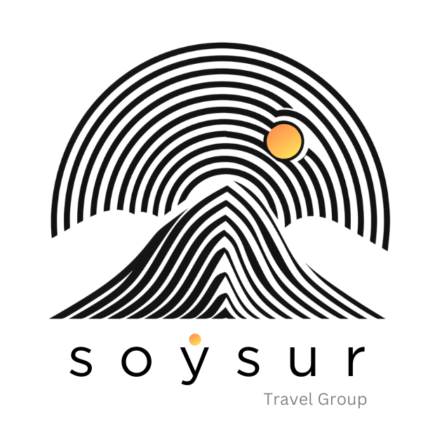 soysur logo