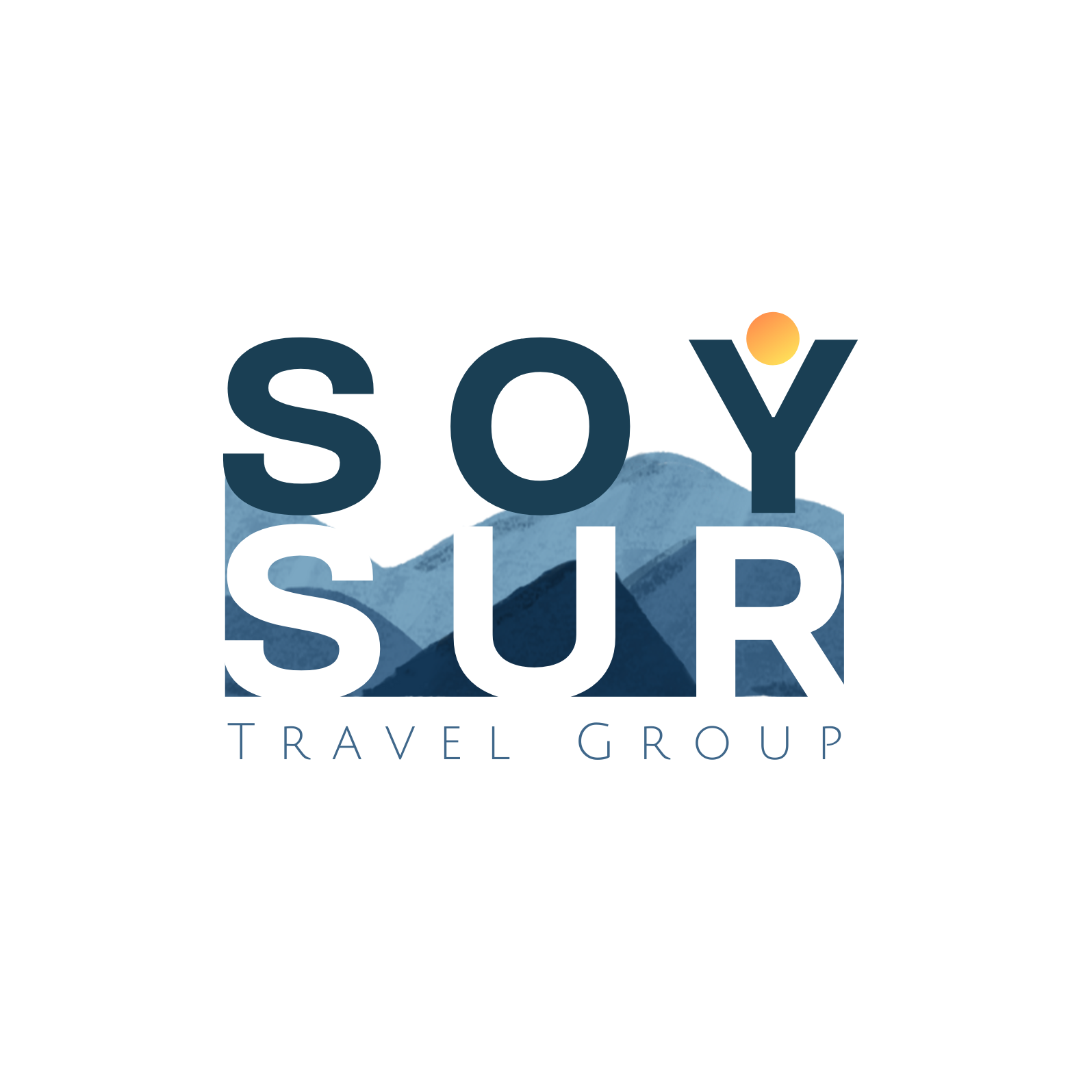 soysur logo