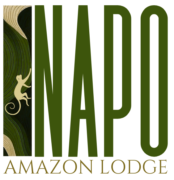 Tena Lodge